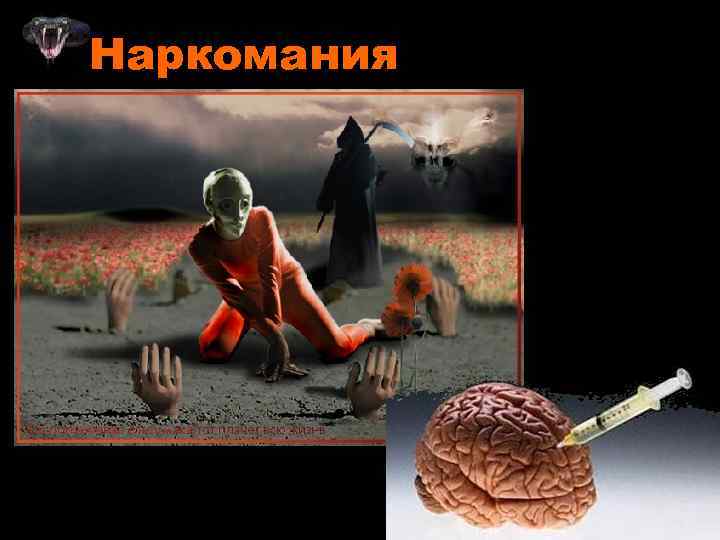 Наркомания 