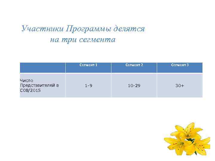 Участники Программы делятся на три сегмента Сегмент 1 Число Представителей в С 08/2015 Сегмент