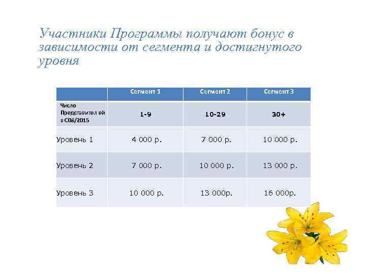 Участники Программы получают бонус в зависимости от сегмента и достигнутого уровня Сегмент 1 Сегмент