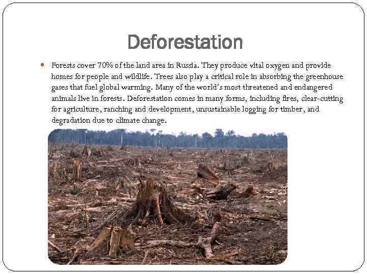 Deforestation and global warming. Deforestation презентация. Causes of deforestation. Deforestation текст.