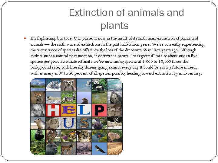 Extinction of animals and plants It’s frightening but true: Our planet is now in