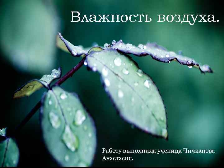 Влажность воздуха. Влажность воздуха Работу выполнила ученица Чичканова Анастасия. 