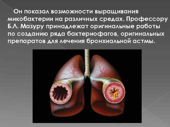 Он показал возможности выращивания микобактерии на различных средах. Профессору Б. Л. Мазуру принадлежат оригинальные