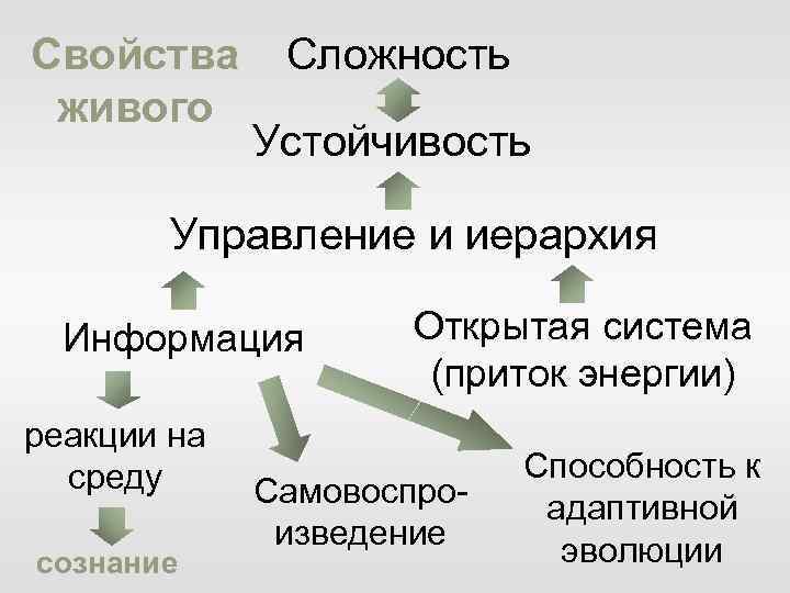 Свойства Сложность живого Устойчивость Управление и иерархия Информация реакции на среду сознание Открытая система