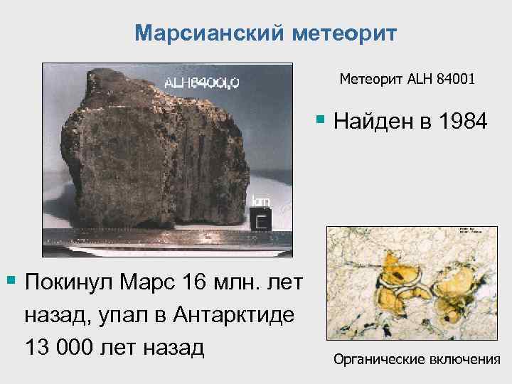 Марсианский метеорит Метеорит ALH 84001 § Найден в 1984 § Покинул Марс 16 млн.