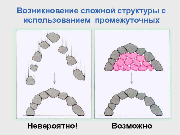 Возникновение сложной структуры с использованием промежуточных Невероятно! Возможно 