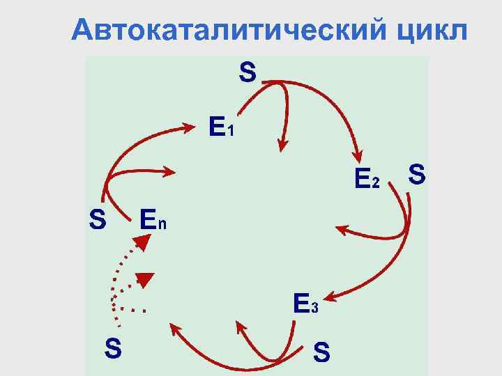 Автокаталитический цикл 