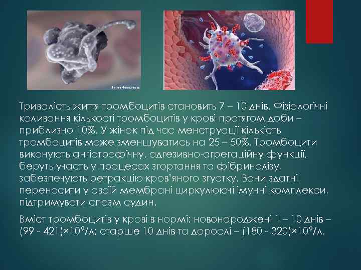 Тривалість життя тромбоцитів становить 7 – 10 днів. Фізіологічні коливання кількості тромбоцитів у крові