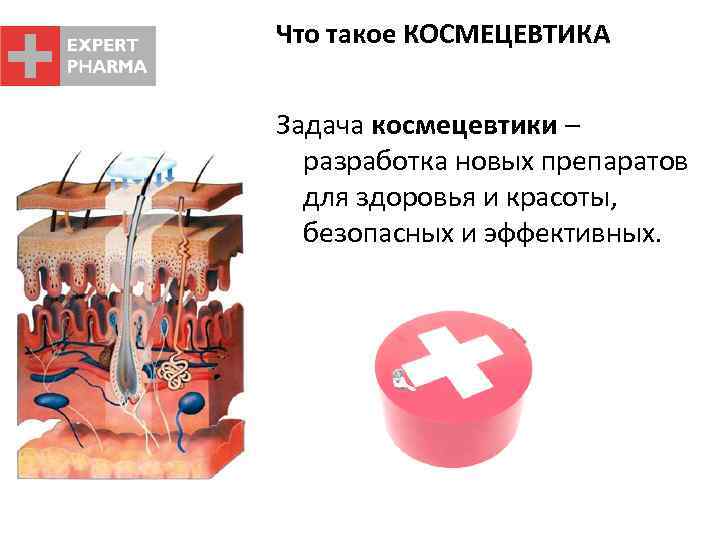 Что такое КОСМЕЦЕВТИКА Задача космецевтики – разработка новых препаратов для здоровья и красоты, безопасных