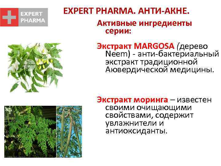 EXPERT PHARMA. АНТИ-АКНЕ. Активные ингредиенты серии: Экстракт MARGOSA (дерево Neem) - анти-бактериальный экстракт традиционной
