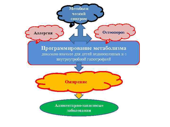 Метаболи ческий синдром Остеопороз Аллергия Программирование метаболизма доказано вначале для детей недоношенных и с