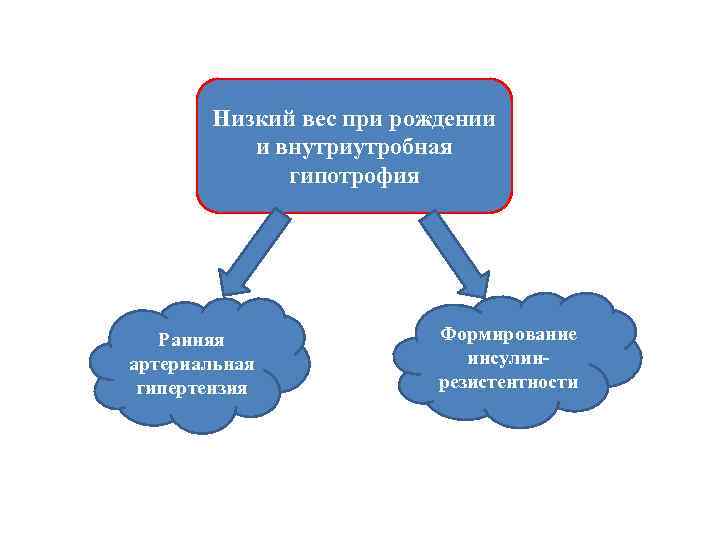 Низкий вес при рождении и внутриутробная гипотрофия Ранняя артериальная гипертензия Формирование инсулинрезистентности 