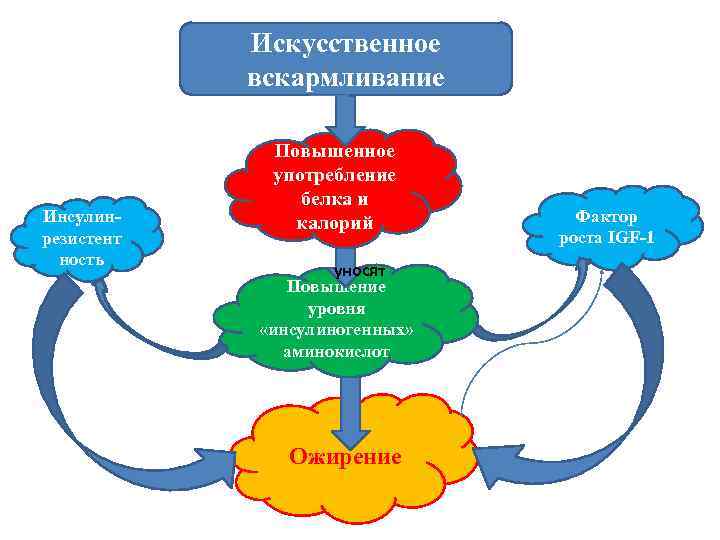 Искусственное вскармливание Инсулинрезистент ность Повышенное употребление белка и калорий уносят Повышение уровня «инсулиногенных» аминокислот