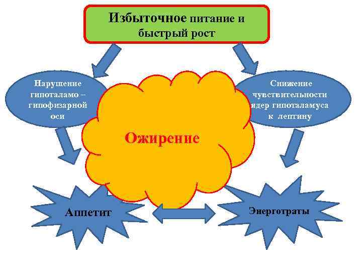 Избыточное питание и быстрый рост Нарушение гипоталамо – гипофизарной оси Снижение чувствительности ядер гипоталамуса