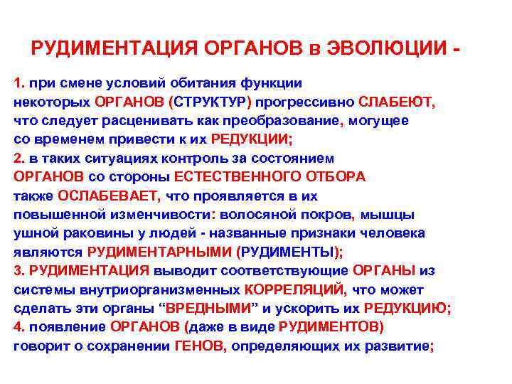 РУДИМЕНТАЦИЯ ОРГАНОВ в ЭВОЛЮЦИИ 1. при смене условий обитания функции некоторых ОРГАНОВ (СТРУКТУР) прогрессивно