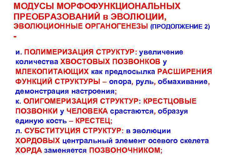 Механизмы соотносительных преобразований органов и систем органов. Эволюционные преобразования. Способы морфофункциональных преобразований органов. Способы филогенетических морфофункциональных преобразований. Эволюционные преобразования живых организмов.