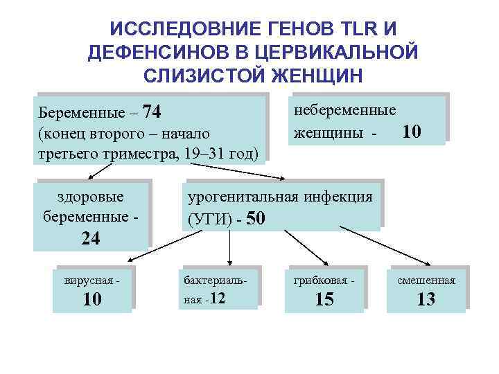ИССЛЕДОВНИЕ ГЕНОВ TLR И ДЕФЕНСИНОВ В ЦЕРВИКАЛЬНОЙ СЛИЗИСТОЙ ЖЕНЩИН Беременные – 74 (конец второго