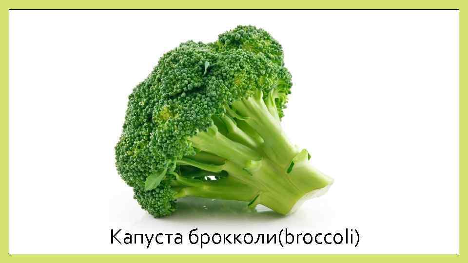 Капуста брокколи(broccoli) 