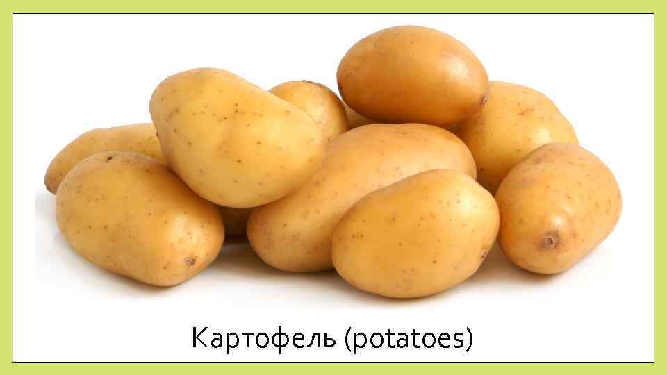 Картофель (potatoes) 