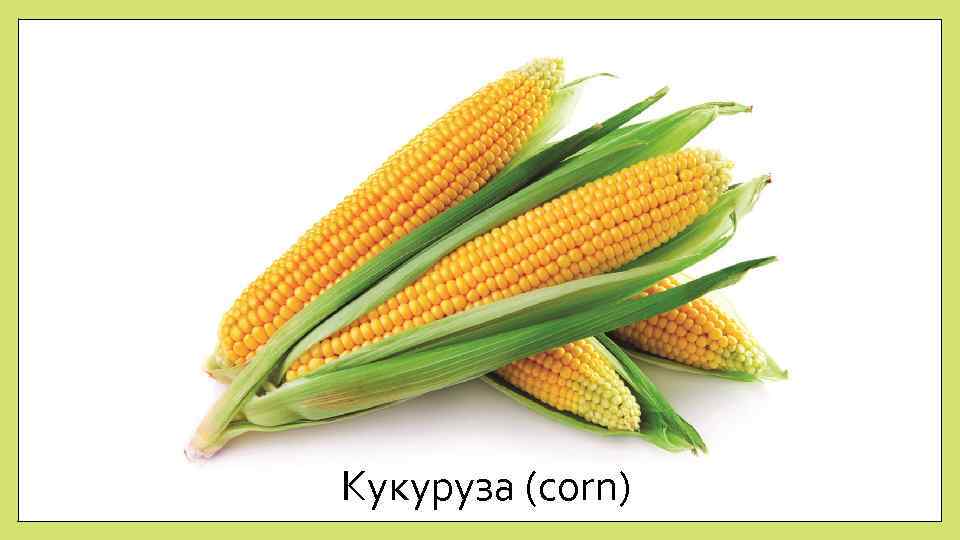 Кукуруза (corn) 