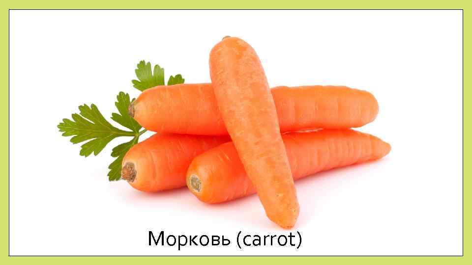 Морковь (carrot) 