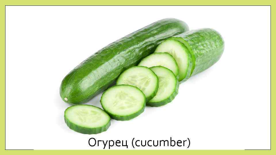 Огурец (cucumber) 