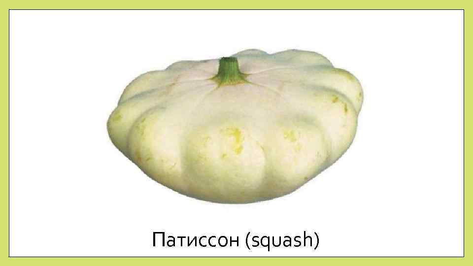 Патиссон (squash) 