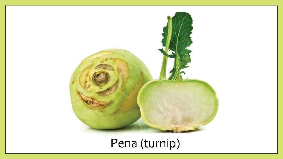 Репа (turnip) 