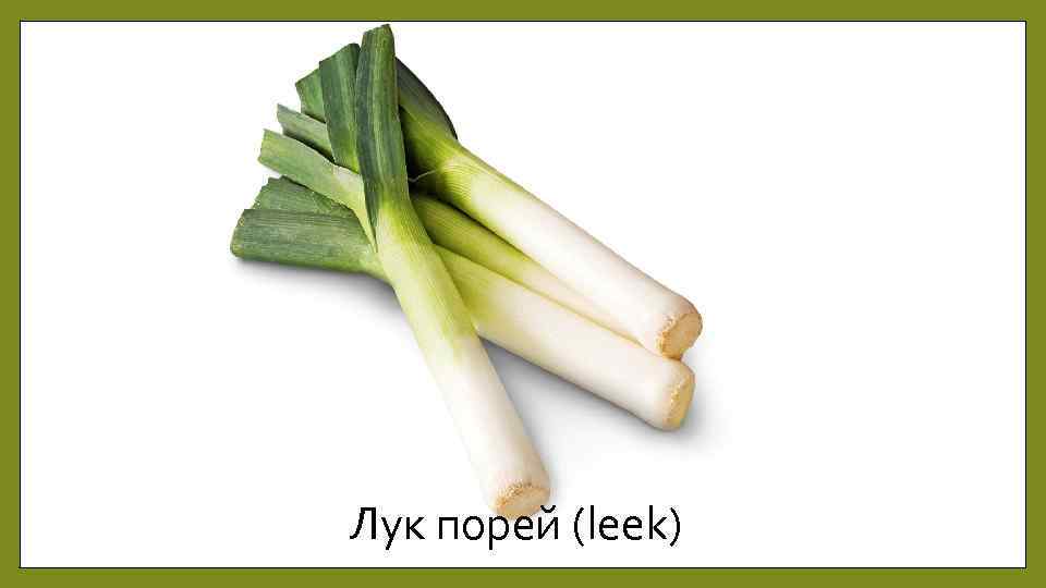 Лук порей (leek) 