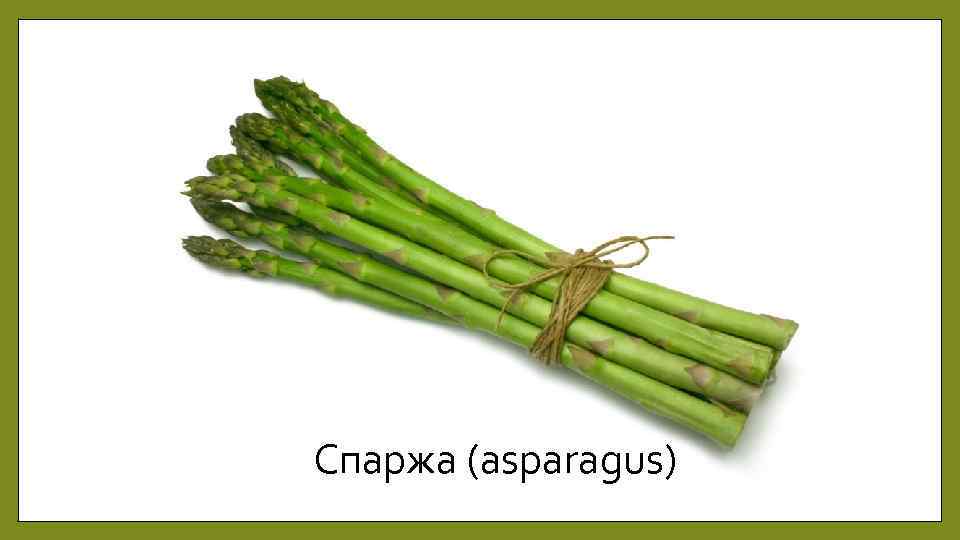 Спаржа (asparagus) 