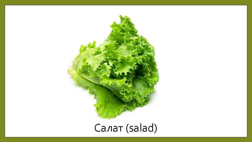 Салат (salad) 