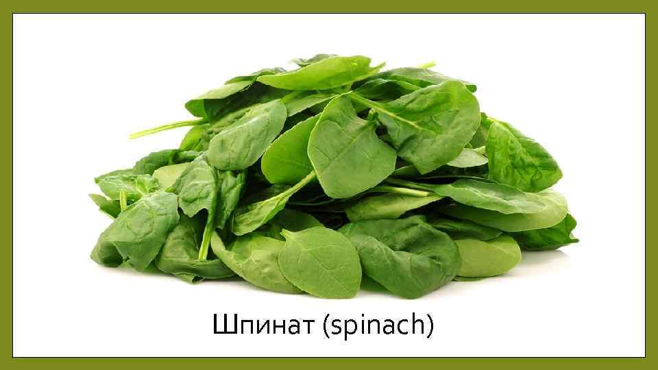 Шпинат (spinach) 