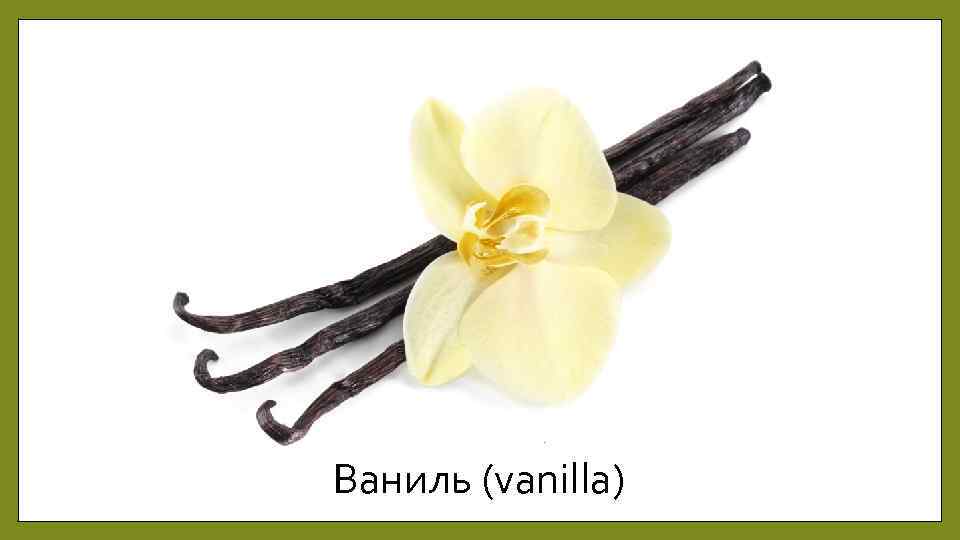 Ваниль (vanilla) 