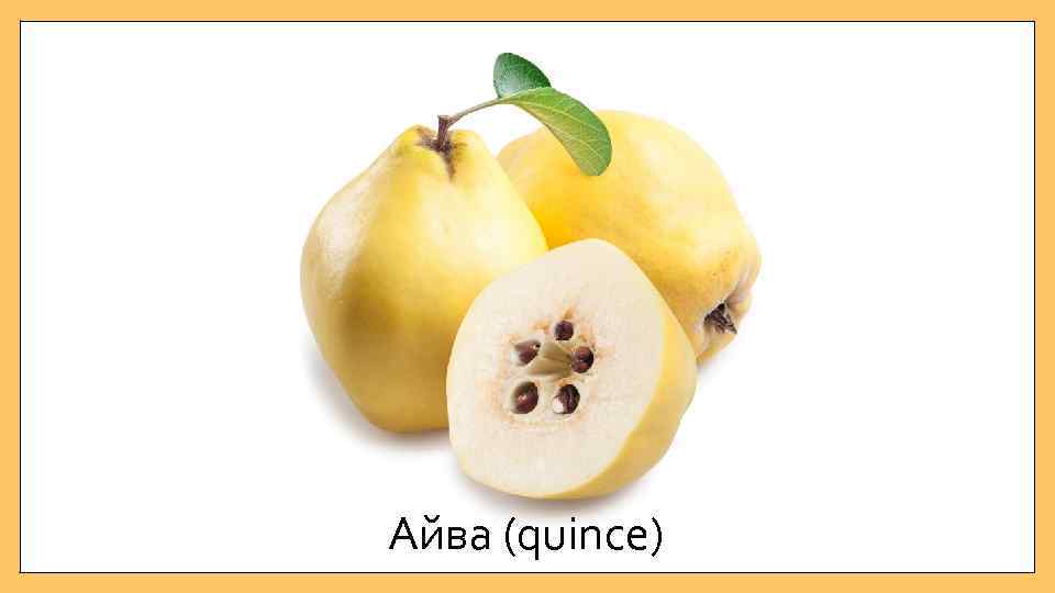 Айва (quince) 