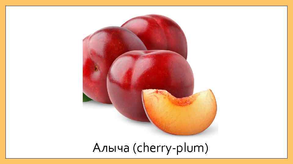 Алыча (cherry-plum) 