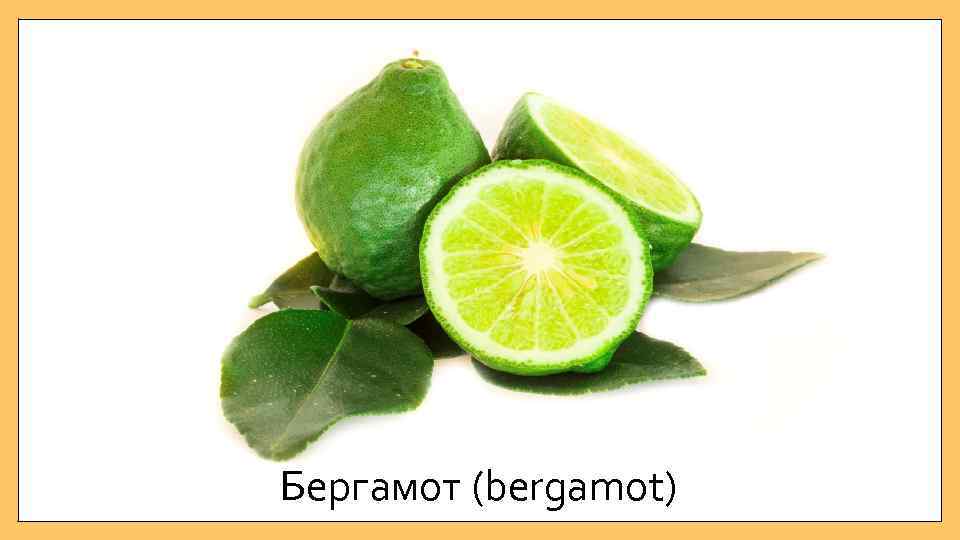 Бергамот (bergamot) 