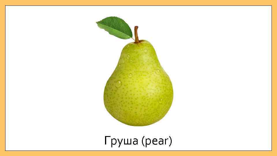 Груша (pear) 