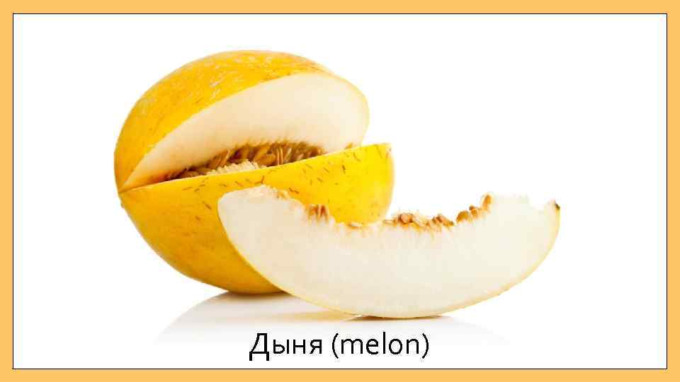 Дыня (melon) 