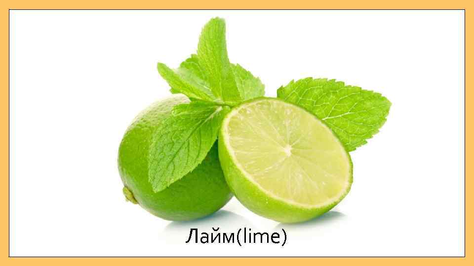 Лайм(lime) 