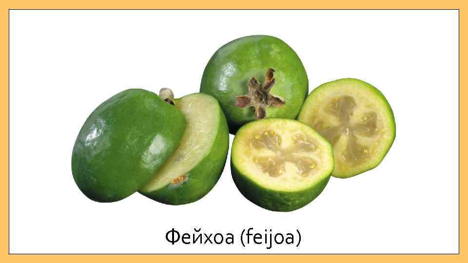 Фейхоа (feijoa) 