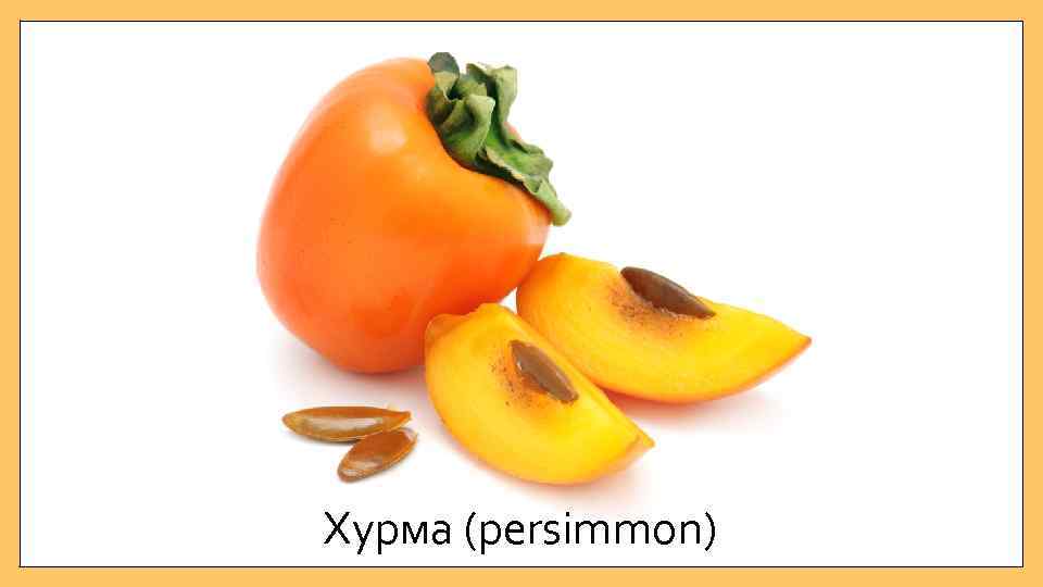 Хурма (persimmon) 