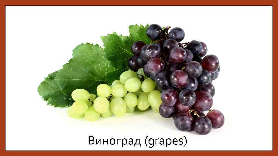 Виноград (grapes) 