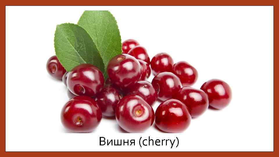 Вишня (cherry) 