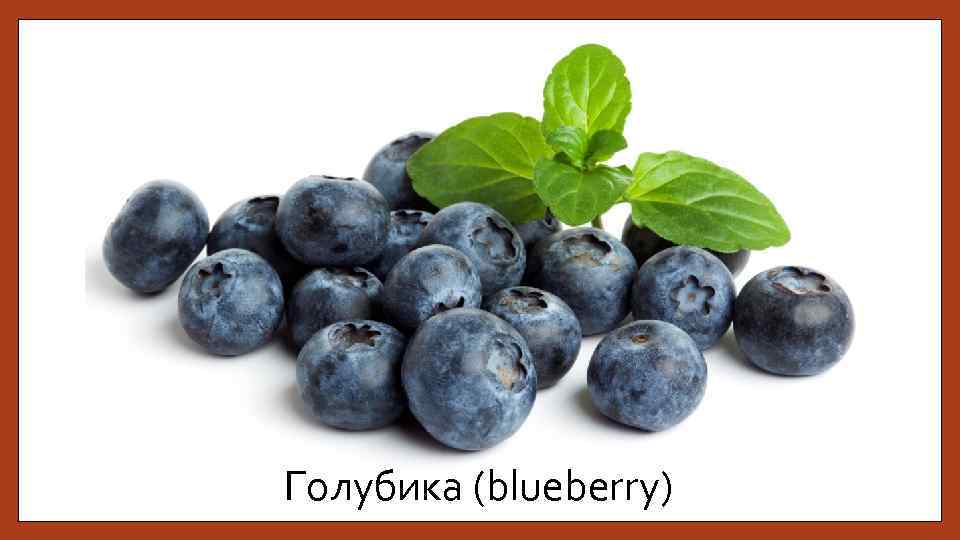 Голубика (blueberry) 