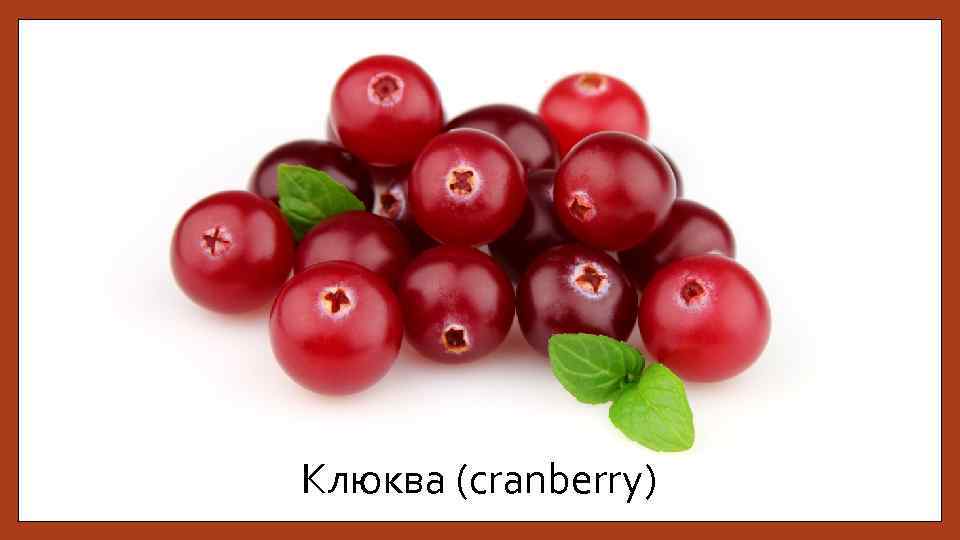 Клюква (cranberry) 