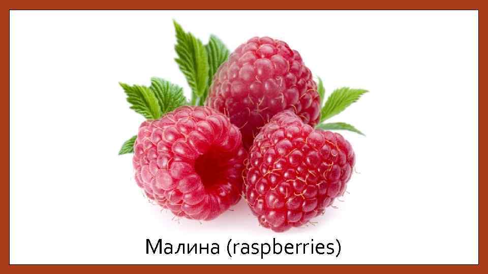 Малина (raspberries) 