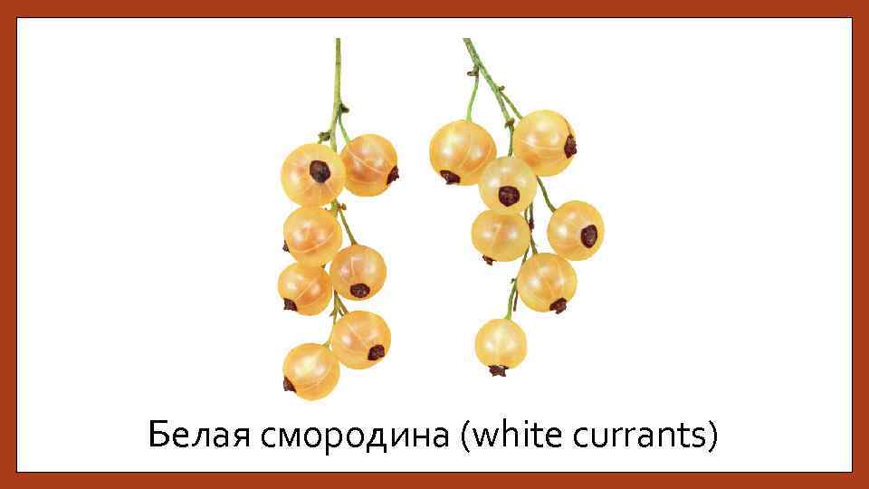 Белая смородина (white currants) 