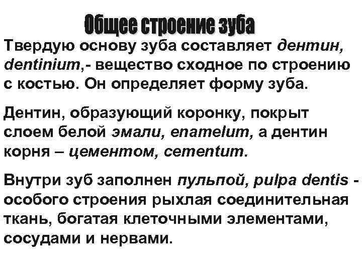 Твердую основу зуба составляет дентин, dentinium, - вещество сходное по строению с костью. Он