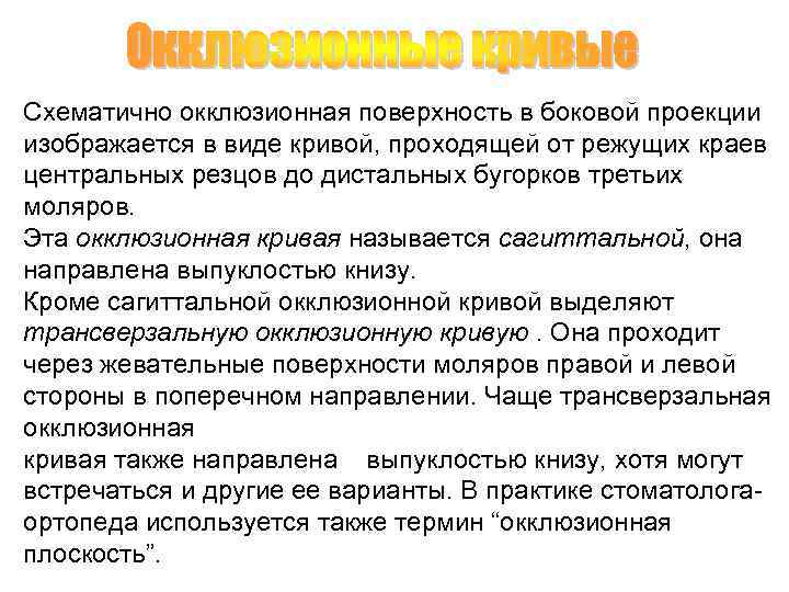 Схематично окклюзионная поверхность в боковой проекции изображается в виде кривой, проходящей от режущих краев