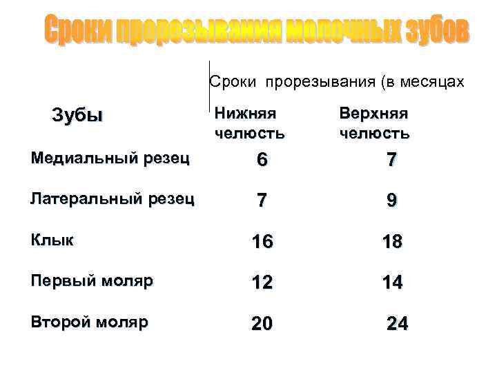 Сроки прорезывания (в месяцах ) Зубы Нижняя челюсть Верхняя челюсть Медиальный резец 6 7